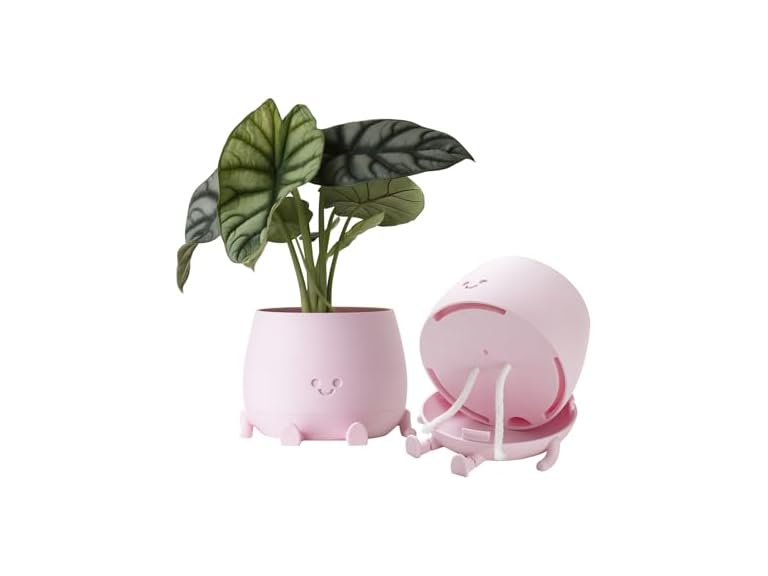TOPOLA Happy Face Planter