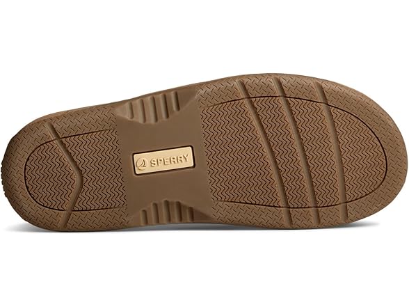 Sperry Baitfish Men's Flip Flops