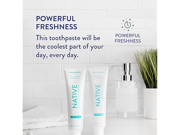 Native Wild Mint Toothpaste 4.1oz