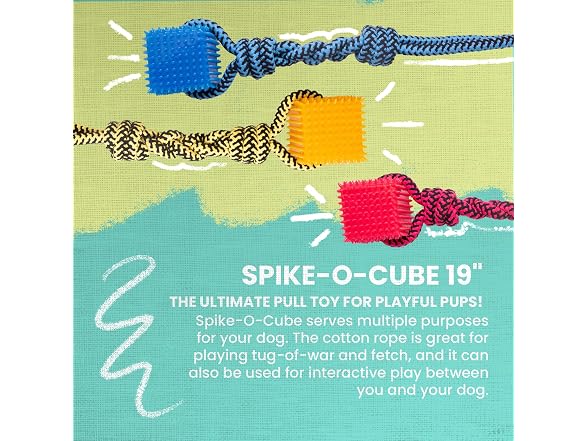 SNUG AROOZ Snugarooz Spike-O-Cube Assorted Colors