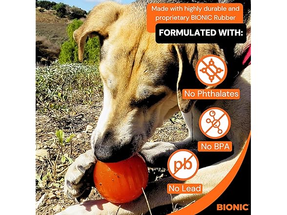 BIONIC Large Dog Chew Ball
