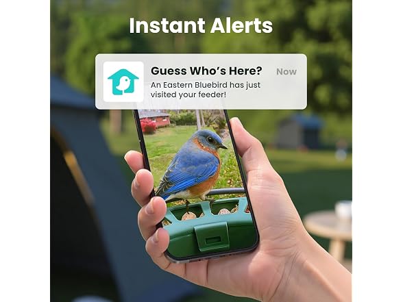 Birdfy 2 Smart Bird Feeder with Camera