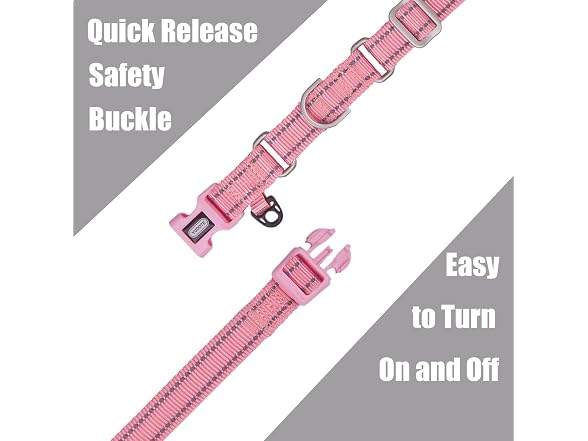 Reflective Martingale Collar for Dogs with Q