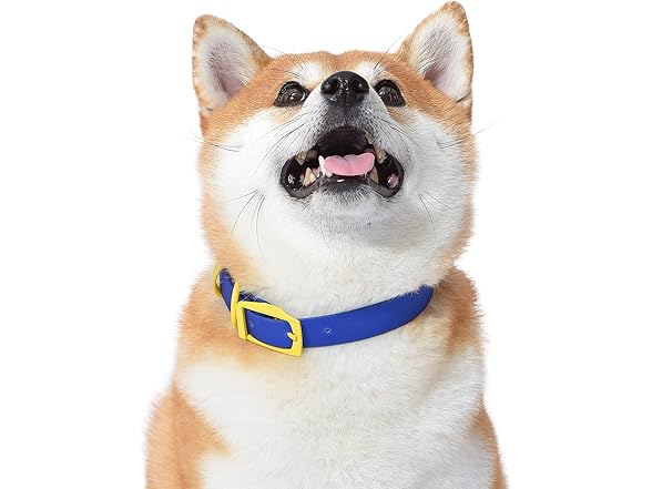 Wags & Wiggles Waterproof PVC Dog Collar