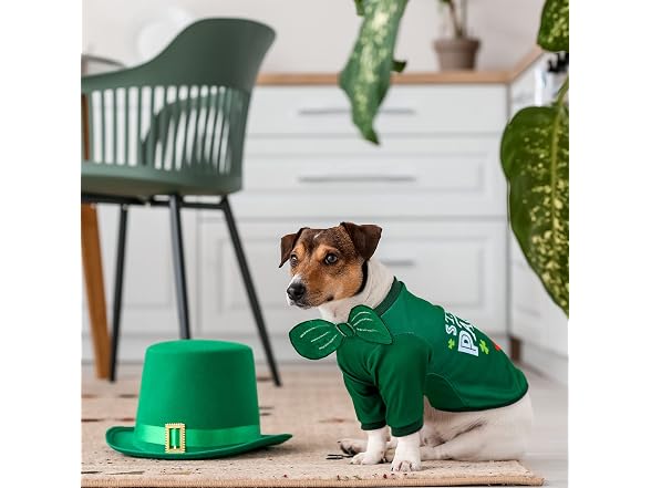 2 Pcs St. Patrick's Day Pet Shirts Dog Cloth