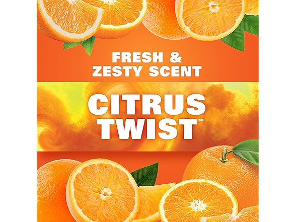 Hefty Kitchen Bags 40ct