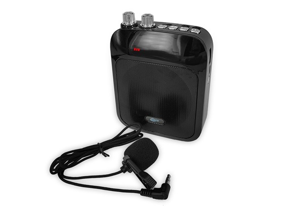 100W Portable PA Speaker System
