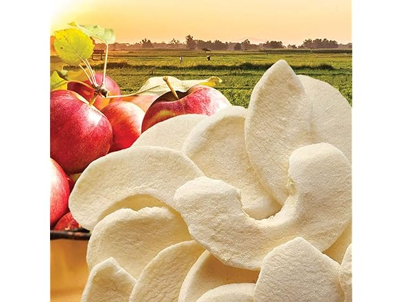 Brothers All Natural Freeze Dried Fruit