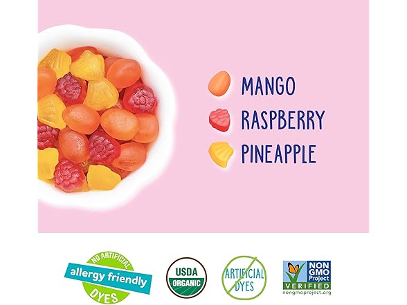10PK YumEarth Organic Tropical Fruit Snacks