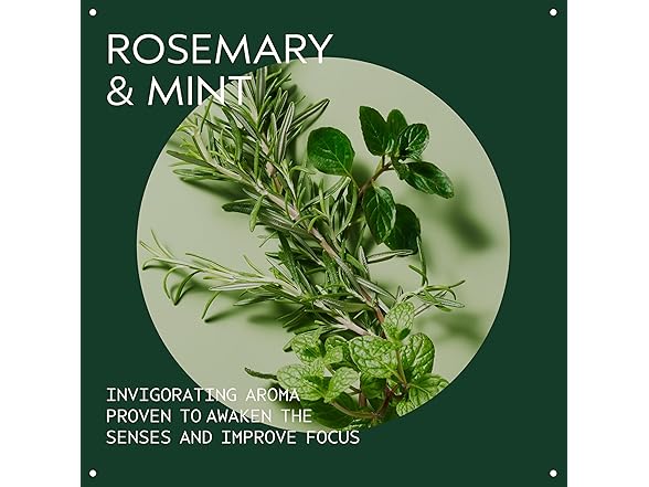 (2 Pack) Aveda Rosemary Mint Weightless Conditioner, 8.5 oz