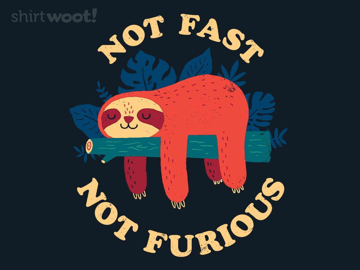 Not Fast, Not Furious - Gallery 4