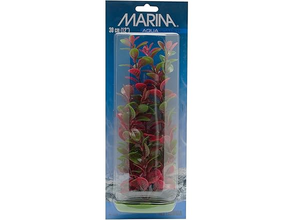 Aquascaper Fish Tank Red Ludwigia Plant