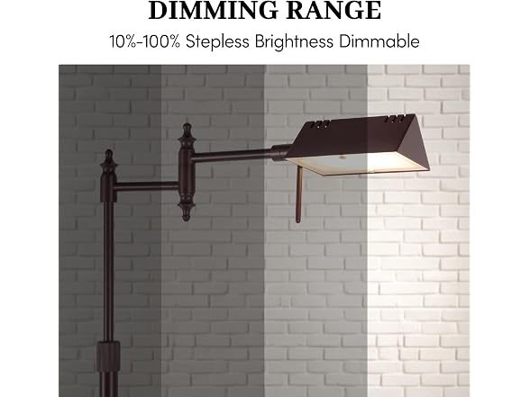 Bairth Oil-Rubbed Bronze Reading Floor Lamp