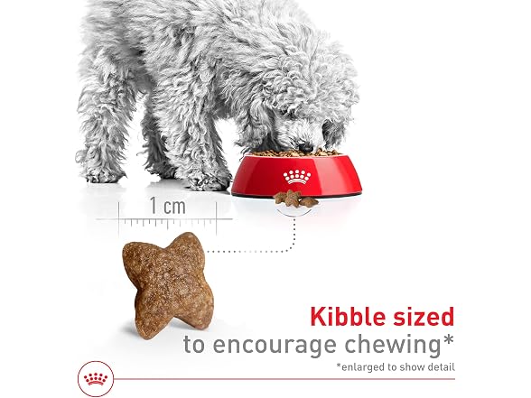 Royal Canin Size Health Nutrition Small Dog