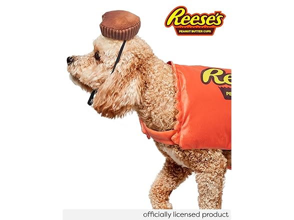 Rubie's Hershey's: Reese's Peanut Butter Cup Costume