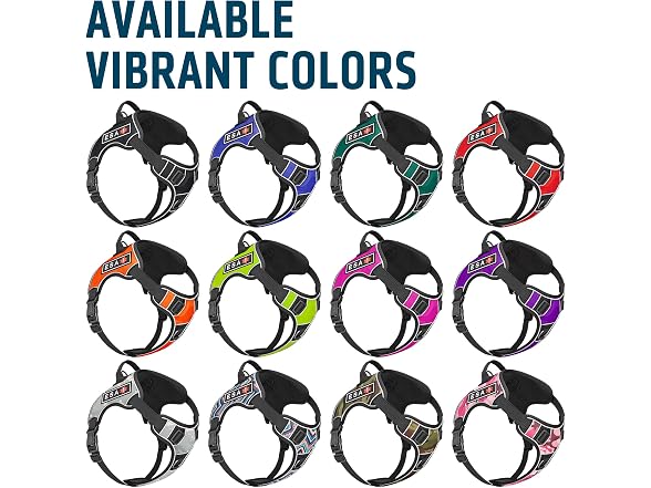 Dogline Quest No-Pull Dog Harness with 3D Ru