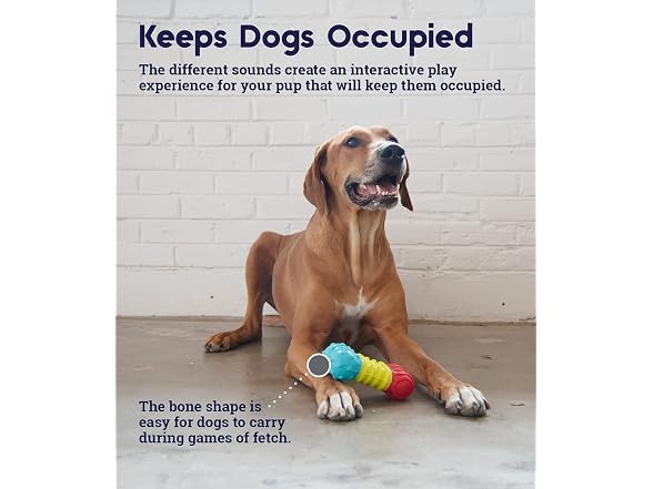 Petstages Multi-Squeak Bone Dog Chew Toy, Mu