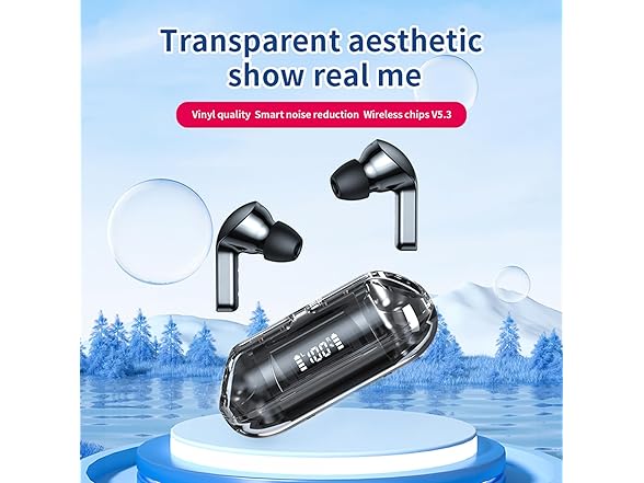 tapaxis Wireless Earbuds