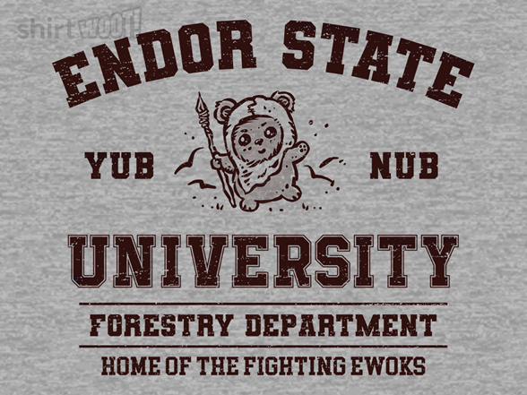 Endor University