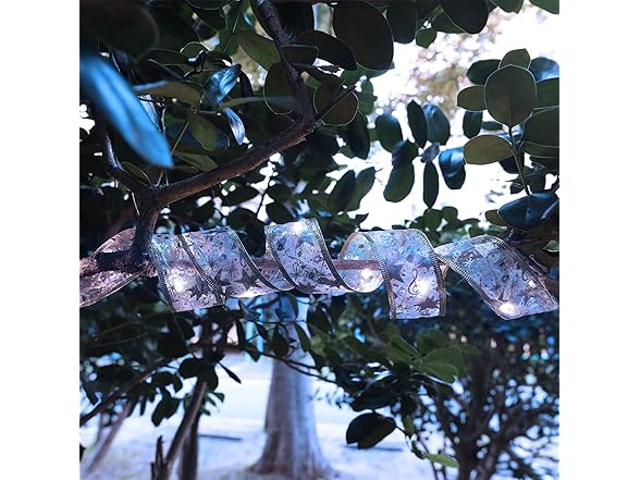 LACKINGONE Decorative LED String Lights