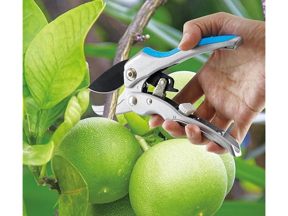 AQUACRAFT Premium Ratchet Garden Pruning
