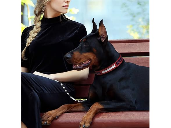 COWBOYS Premium Dog Collar (L)