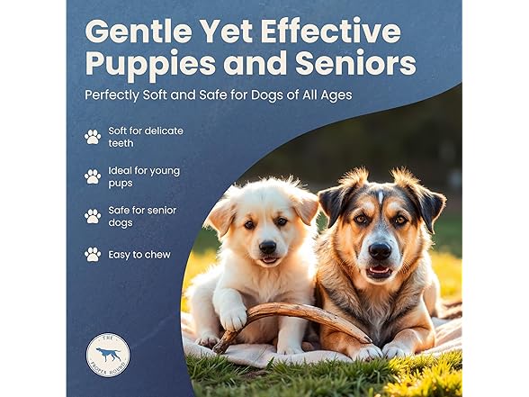 The Proper Hound Split Elk Antlers