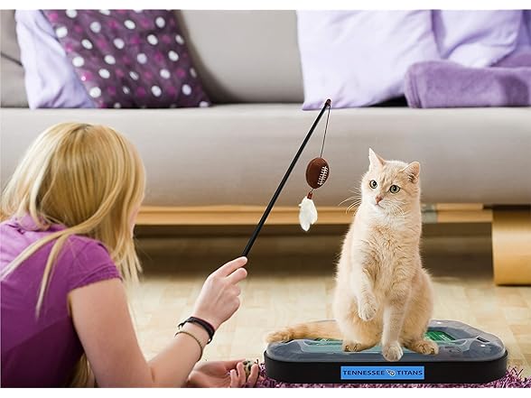 Pets First NFL BALTIMORE RAVENS FOOTBALL FIELD