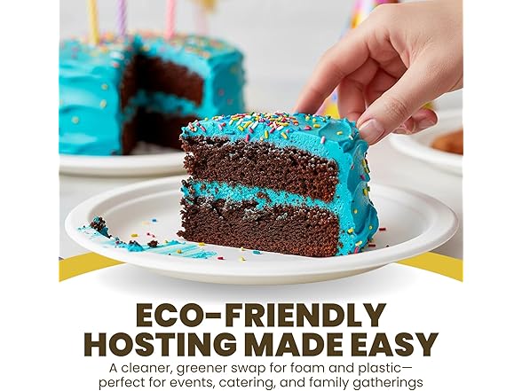 Sugarcane Paper Plates 9" 100ct