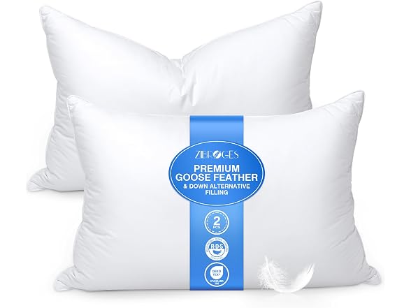 zibroges Feather Pillows Queen Set of 2