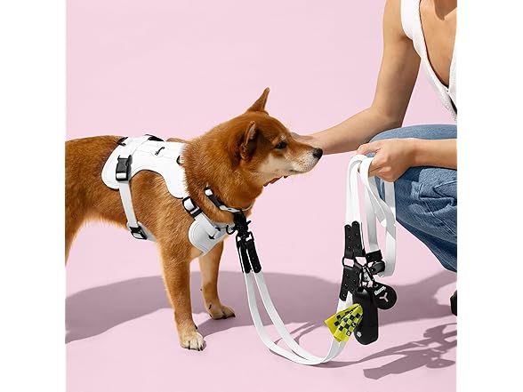 Luna Small 8FT Adjustable Waterproof Hands-Free Leash