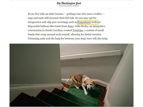 EXPAWLORER Anti Slip Dog Socks to Prevent Licking Paws