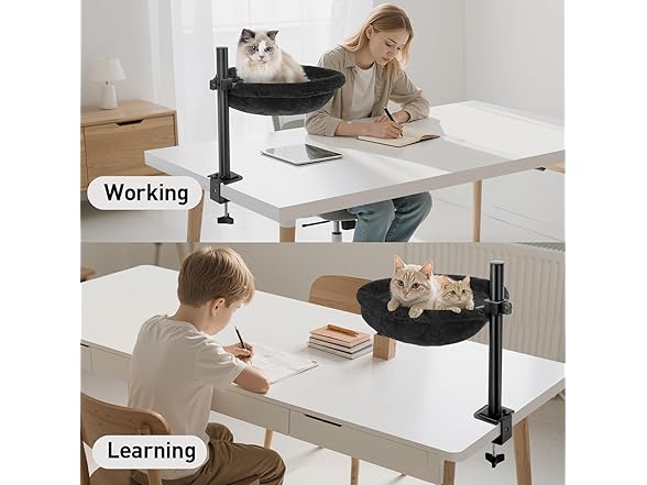 JSLIN Cat Desk Bed
