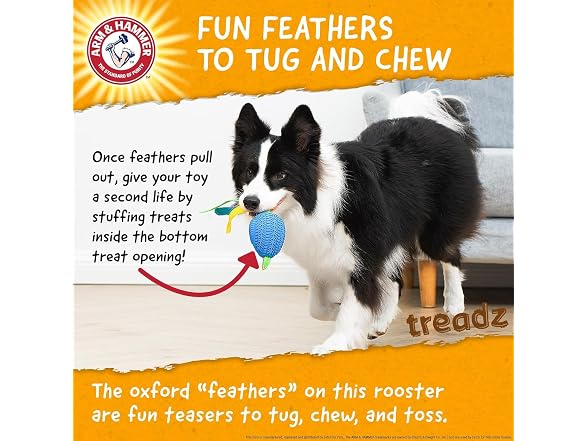 Arm and Hammer for Pets Super Treadz Large Rooster