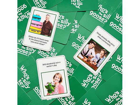 DSS Games Who's The Silly Goose Game