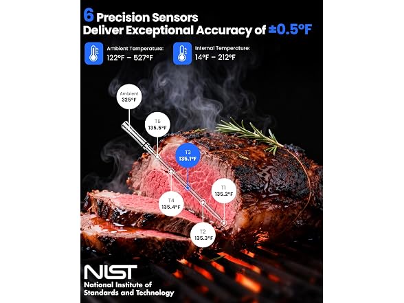 Prograce Wireless Meat Thermometer