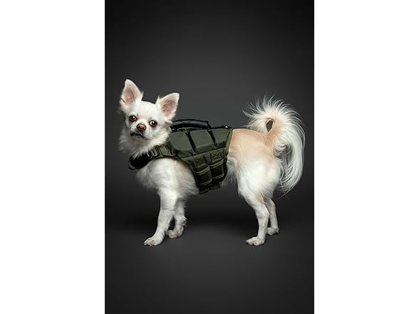 NOAH & PAW Dog Life Jacket- XSmall