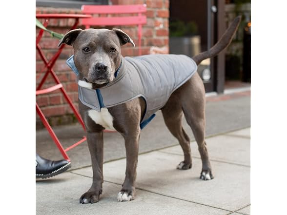Furhaven Water-Repellent & Reversible Medium Dog Coat