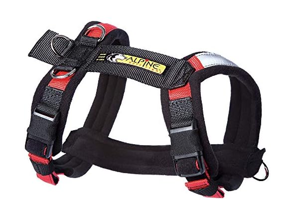 Alpine Outfitters Adjustable Dog Harness, No-Pull D-Ring Red