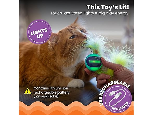 Catstages Roll & Chase Robot Toy