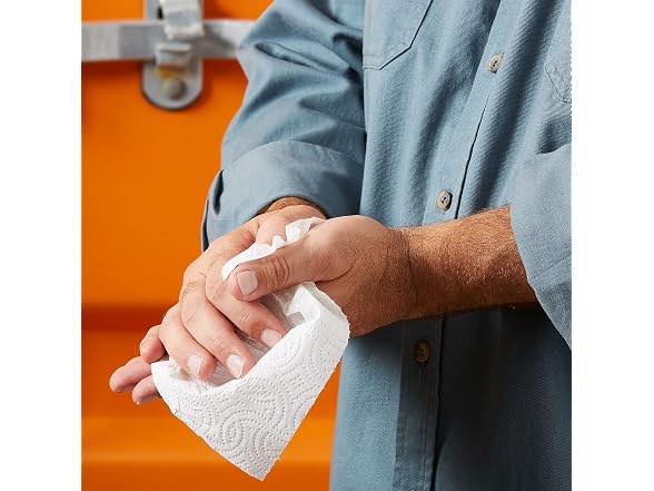 COASTWIDE Coastwide Professional Paper Towels,