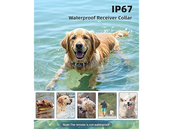 AIKEEP B0DZXG154M Dog Shock Collar