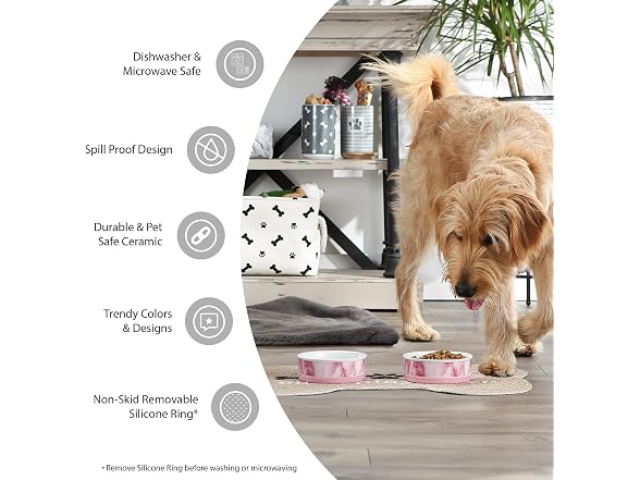 Bone Dry Trellis Paw Print Pet Bowl Set