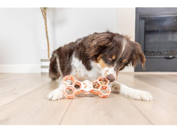 Chuckit! Chuckit! Holee Roller Dog Treat Puzzle