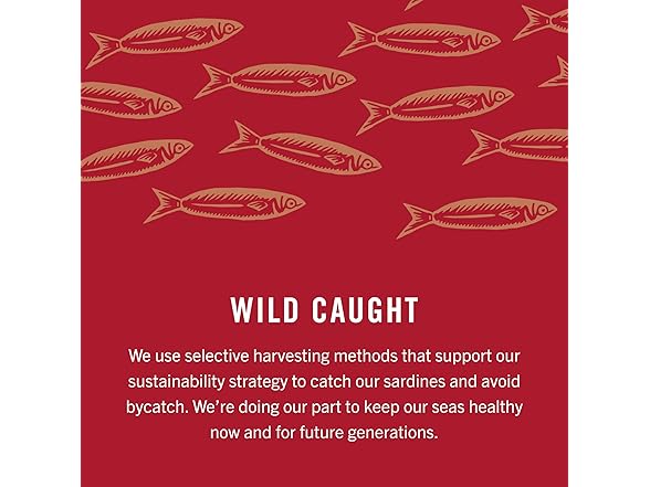 King Oscar Spicy Sardines 3.75oz