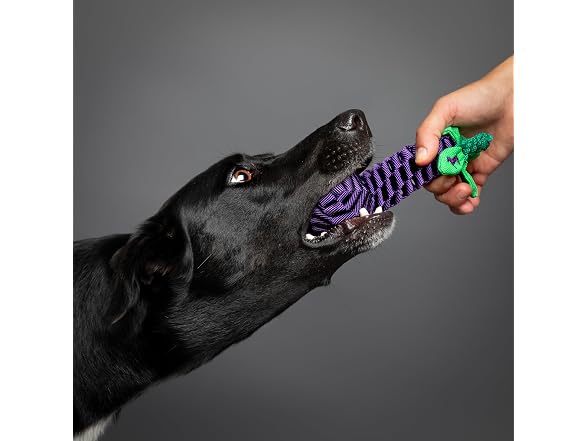 NOAH & PAW Luxury Dog Toy, Eggplant