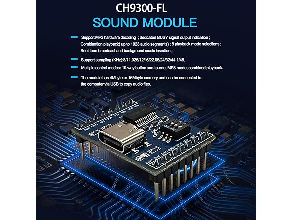 XLW Voice Playback Module