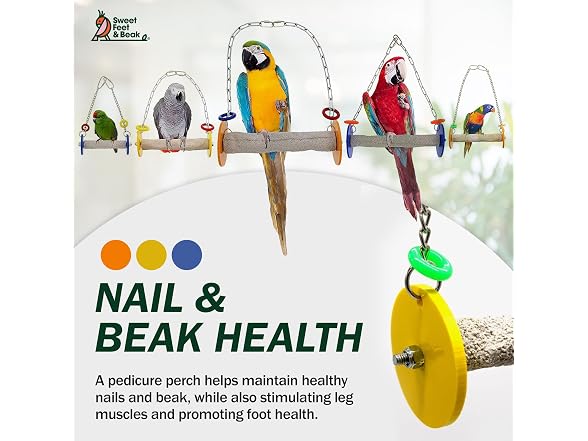 Sweet Feet and Beak Roll Bird Swing
