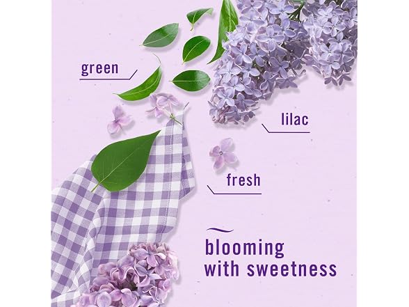 Febreze Lilac and Watermelon Air Fresheners 4ct
