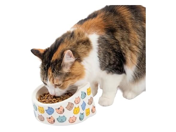 Kitty City Elevated Melamine Cat Bowl- Colorful Cats